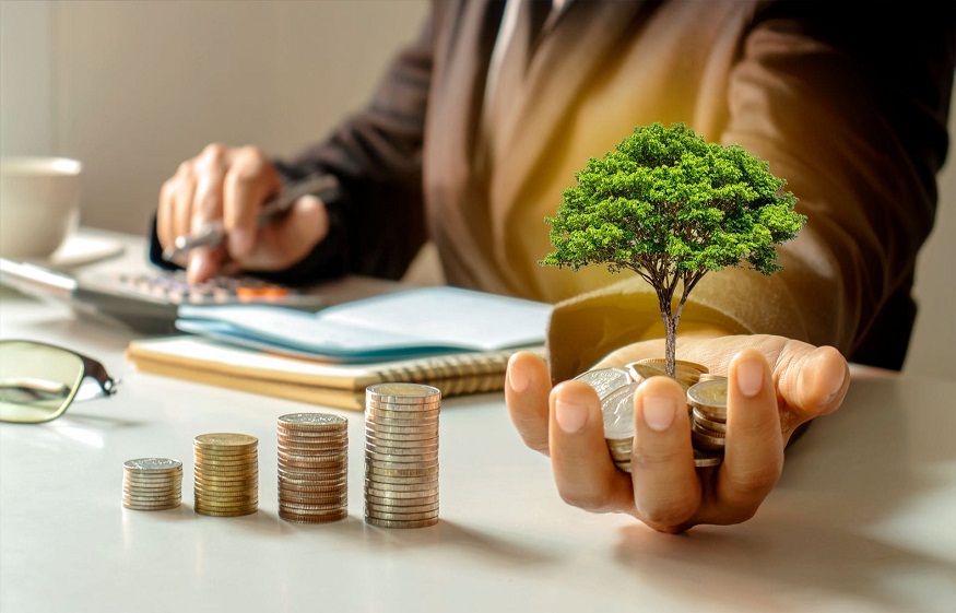Small Businesses Are Investing